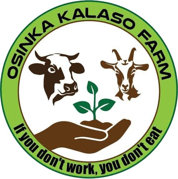 Osinka Kalaso Logo