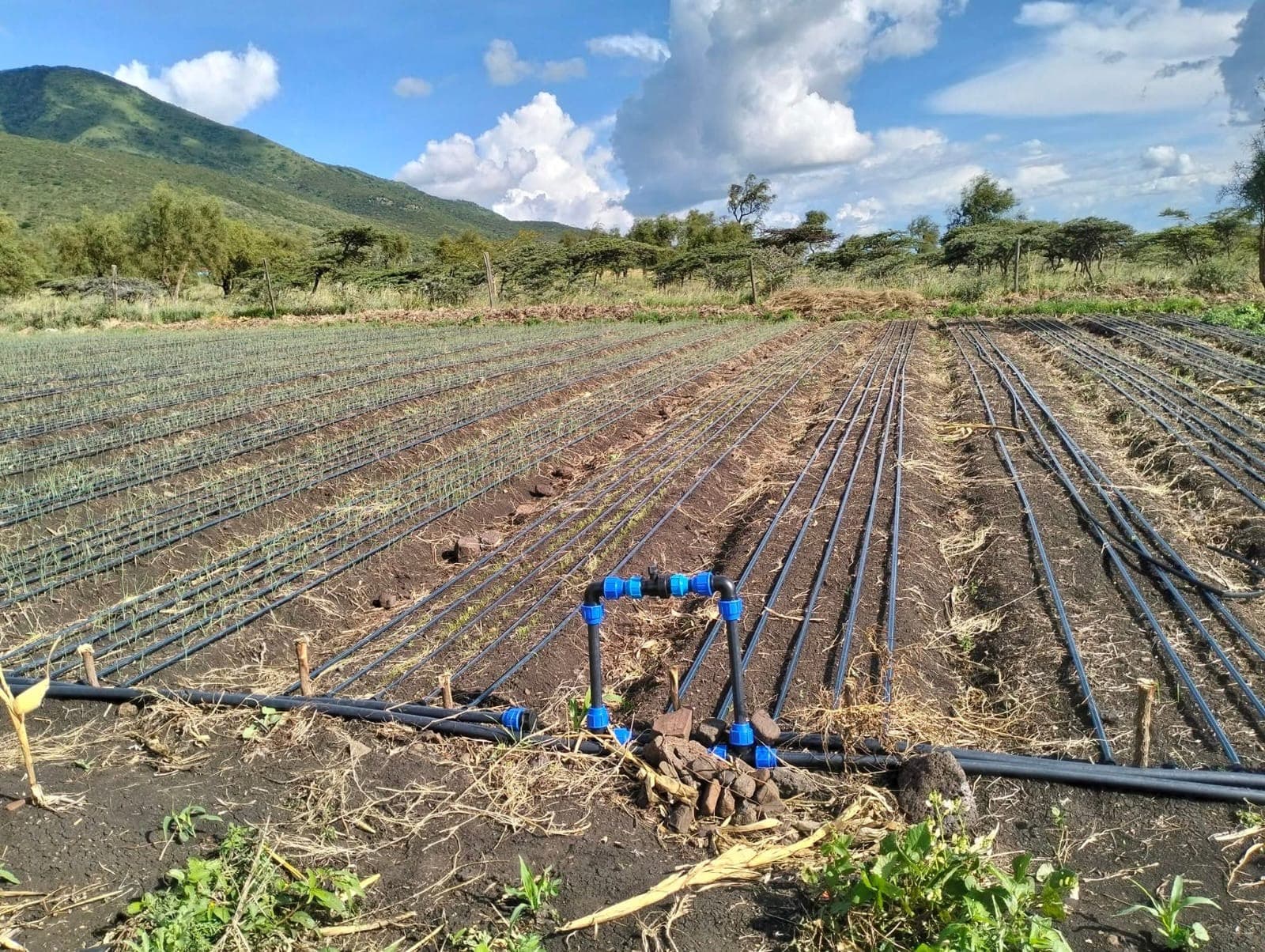 Water project development
