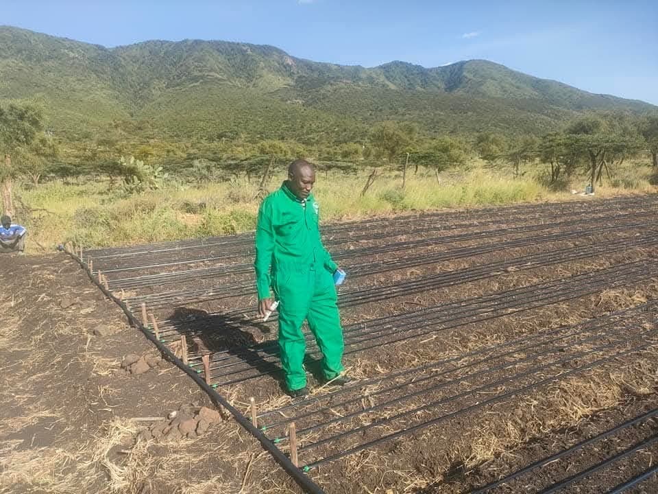 Osinka Kallaso farmer with irrigation system
