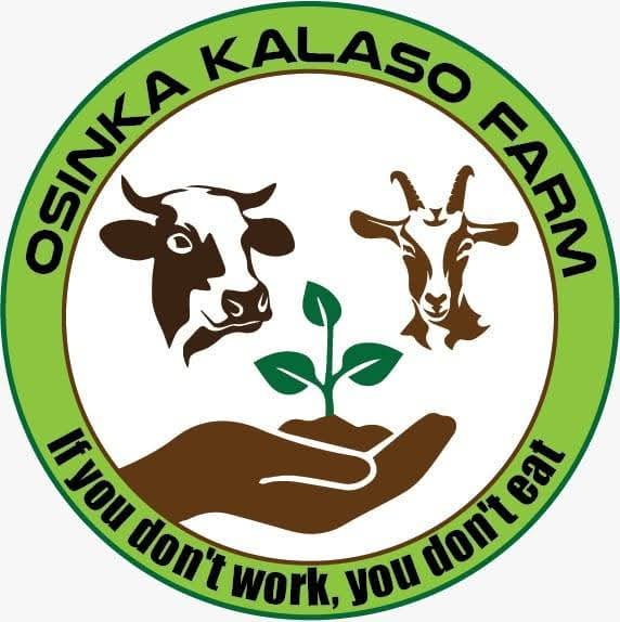 www.osinkakalaso.website favicon